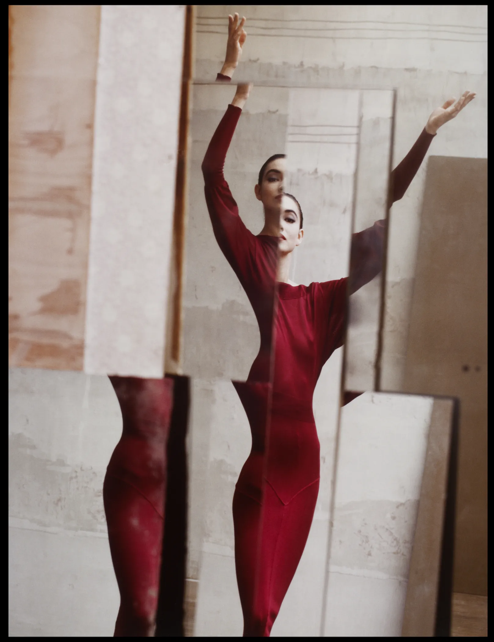 3 Seidner_Howell Alaia